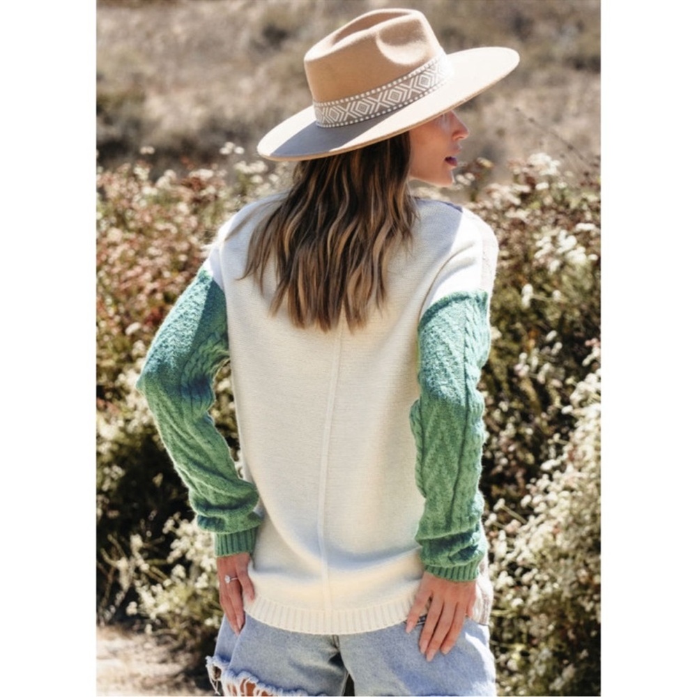 Colorblock Crew Neck Sweater - Picture 2 of 10